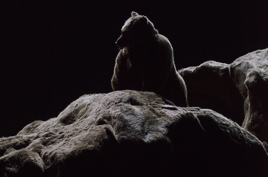 Saga, Jonathan Capdevielle