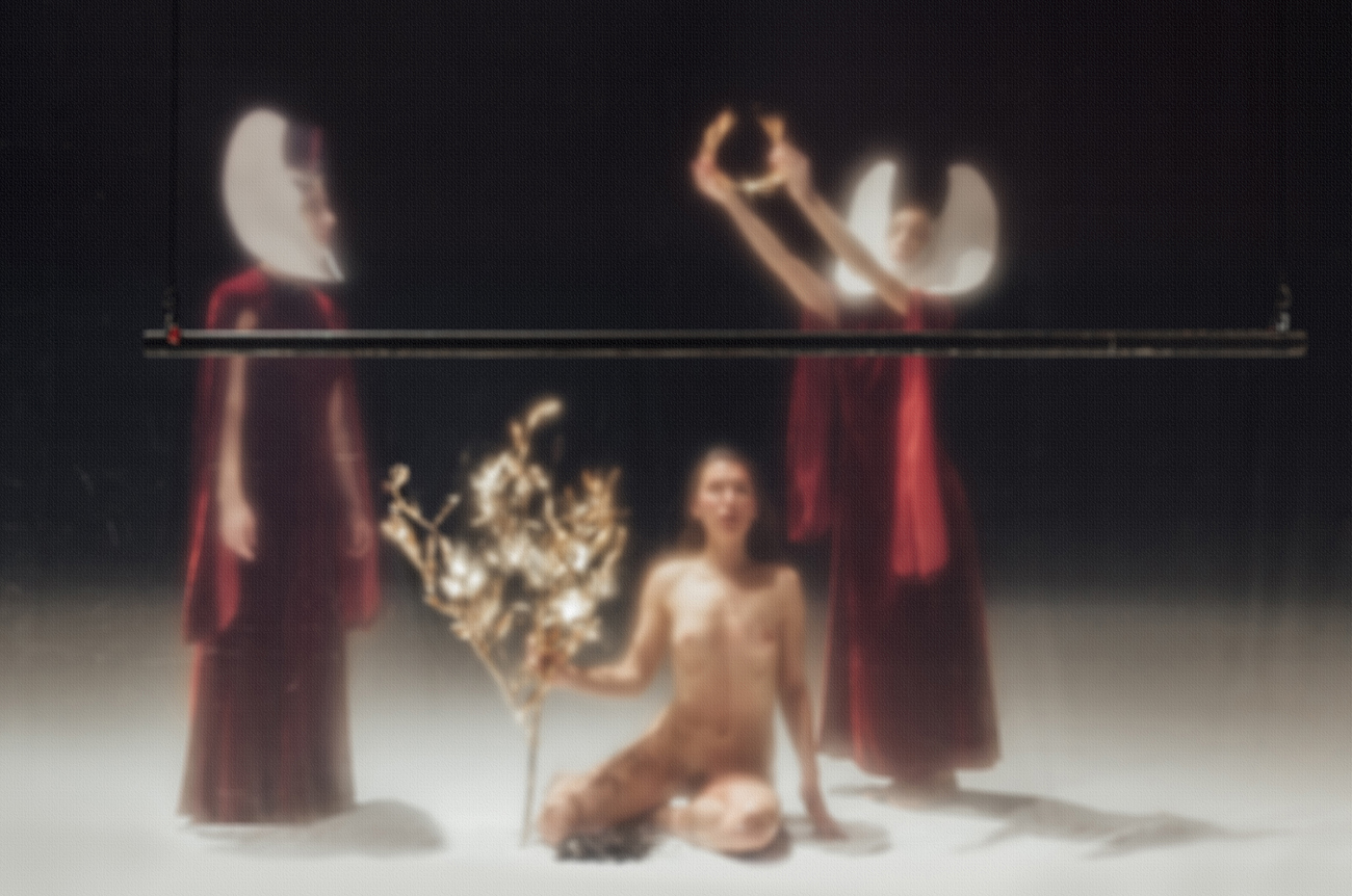 Democracy in America, Romeo Castellucci