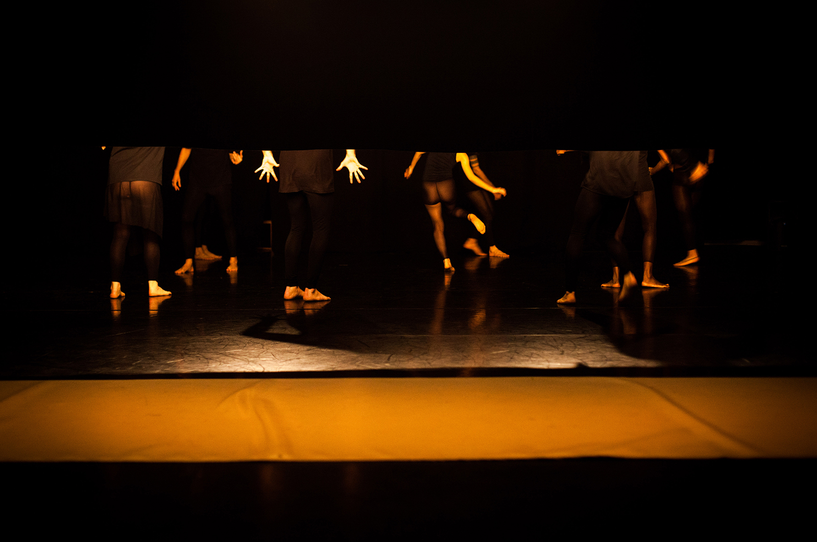 Dança Doente, Marcelo Evelin