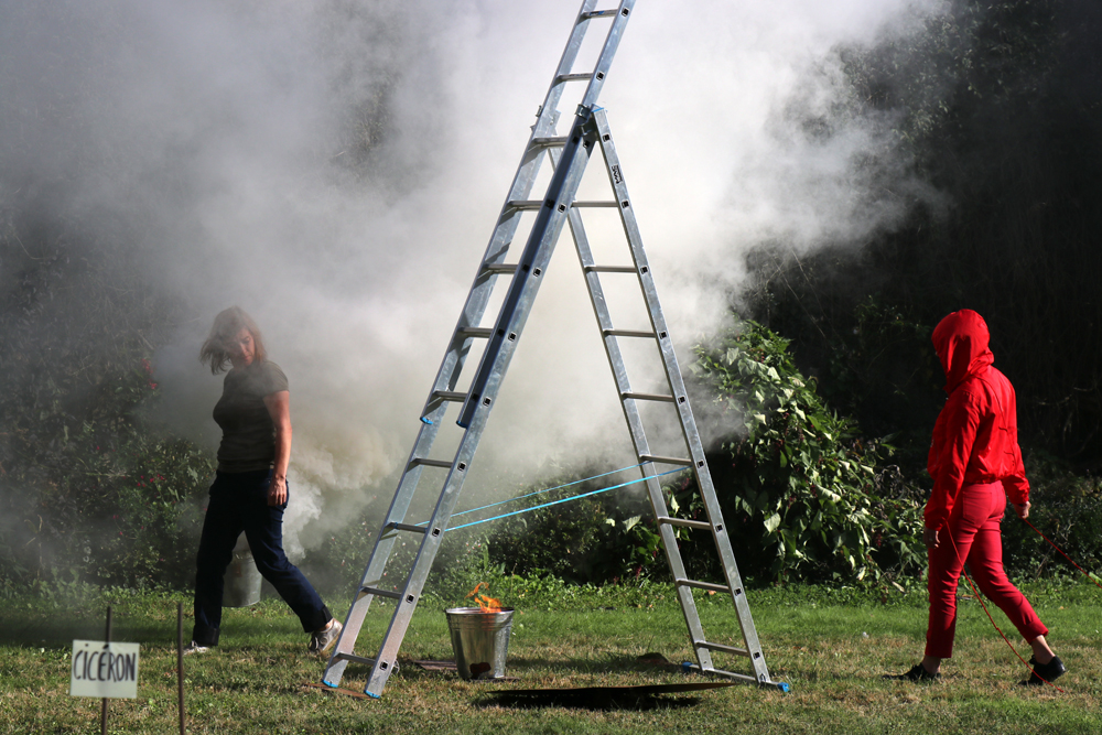 Plastique Danse Flore : Performer le paysage