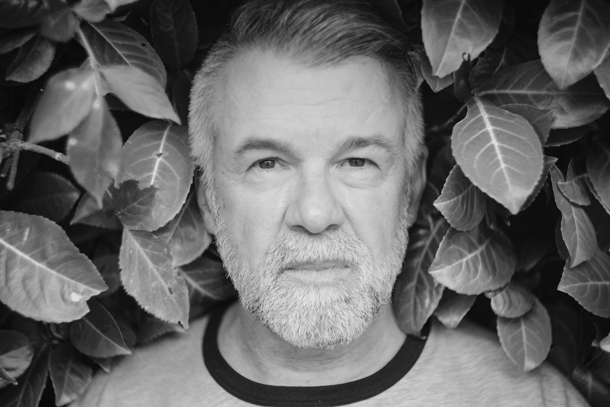 Portraits d'été : Daniel Larrieu