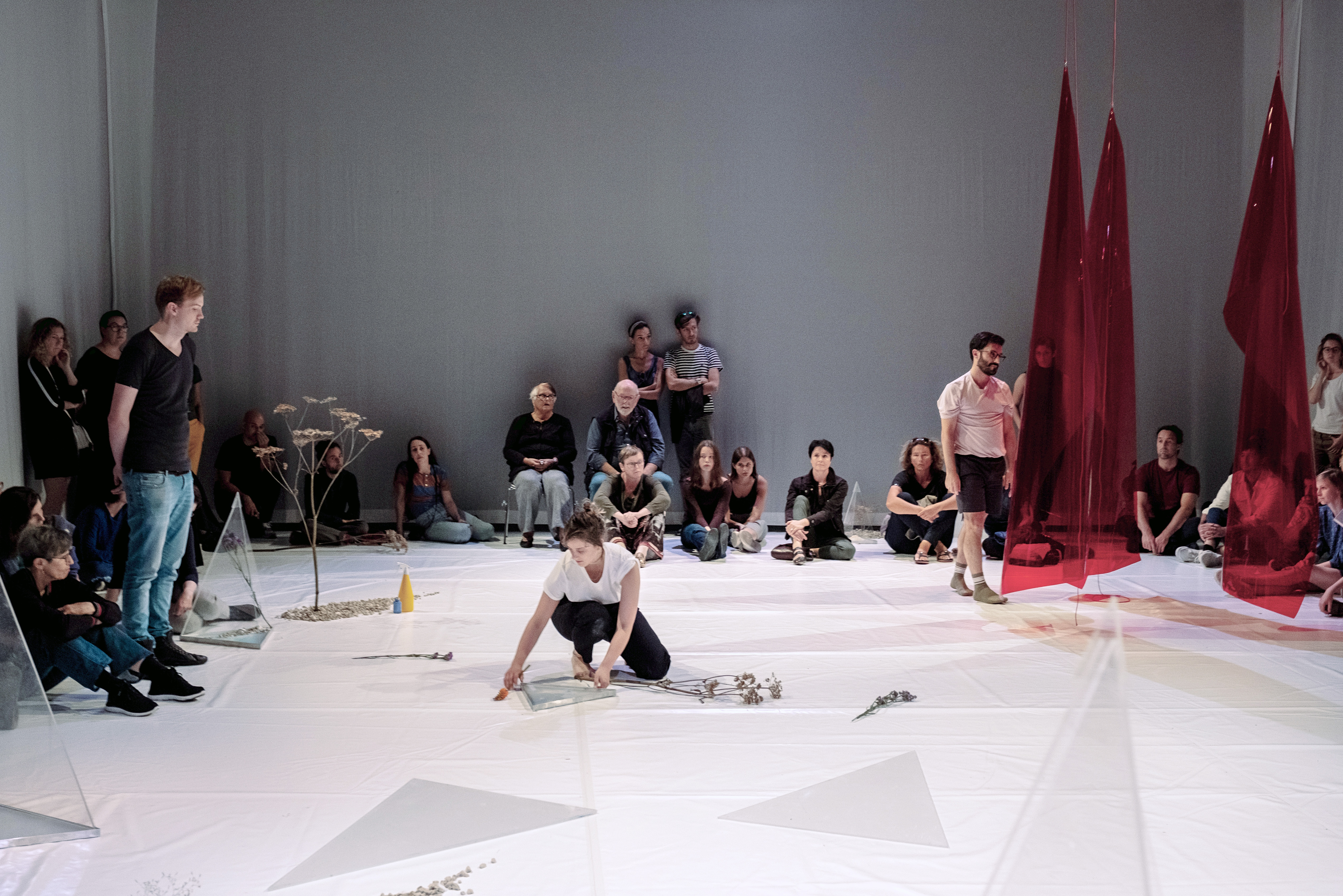TRANSMOTION, Dario Tortorelli