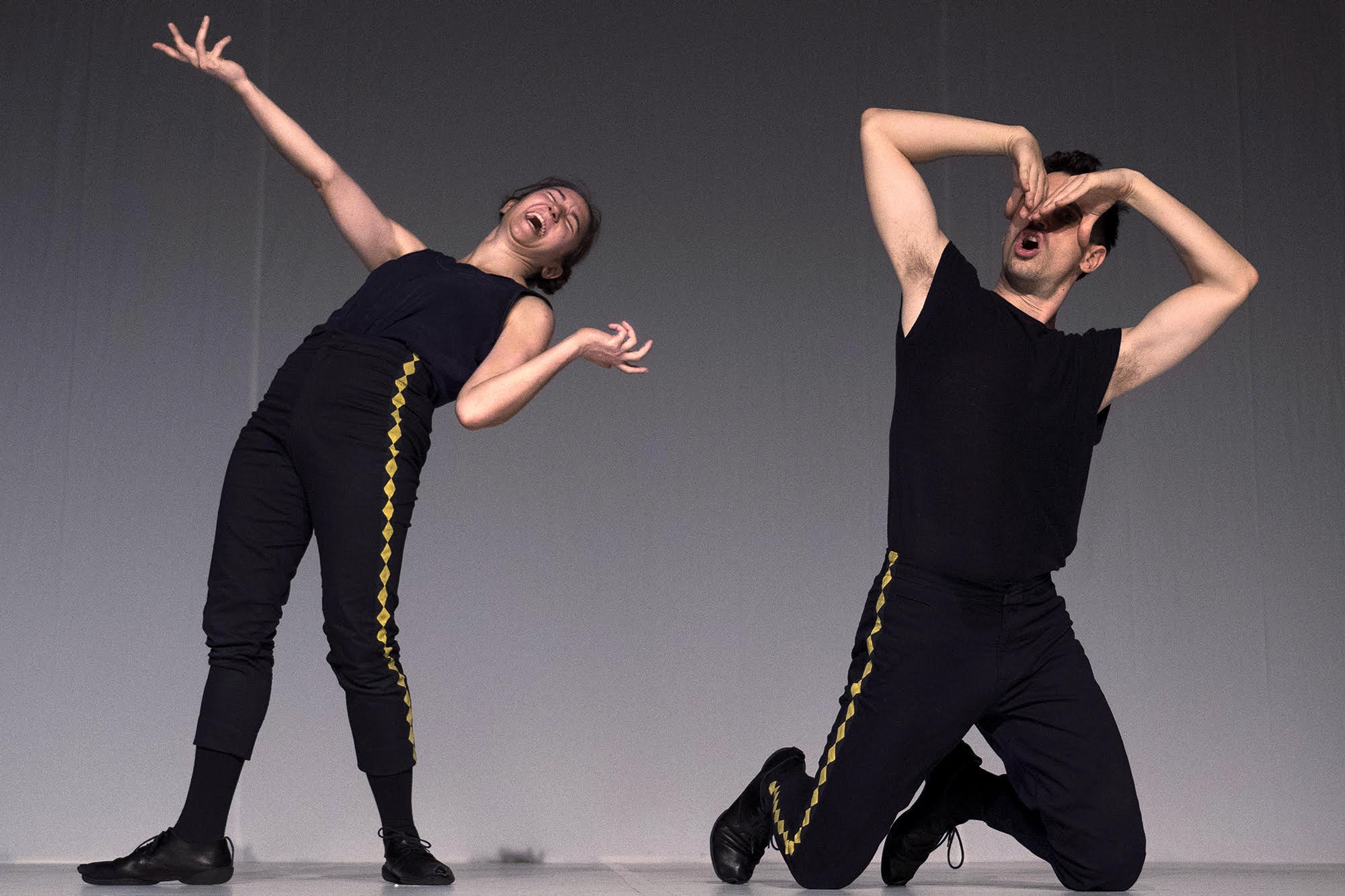 Harleking, Ginevra Panzetti & Enrico Ticconi