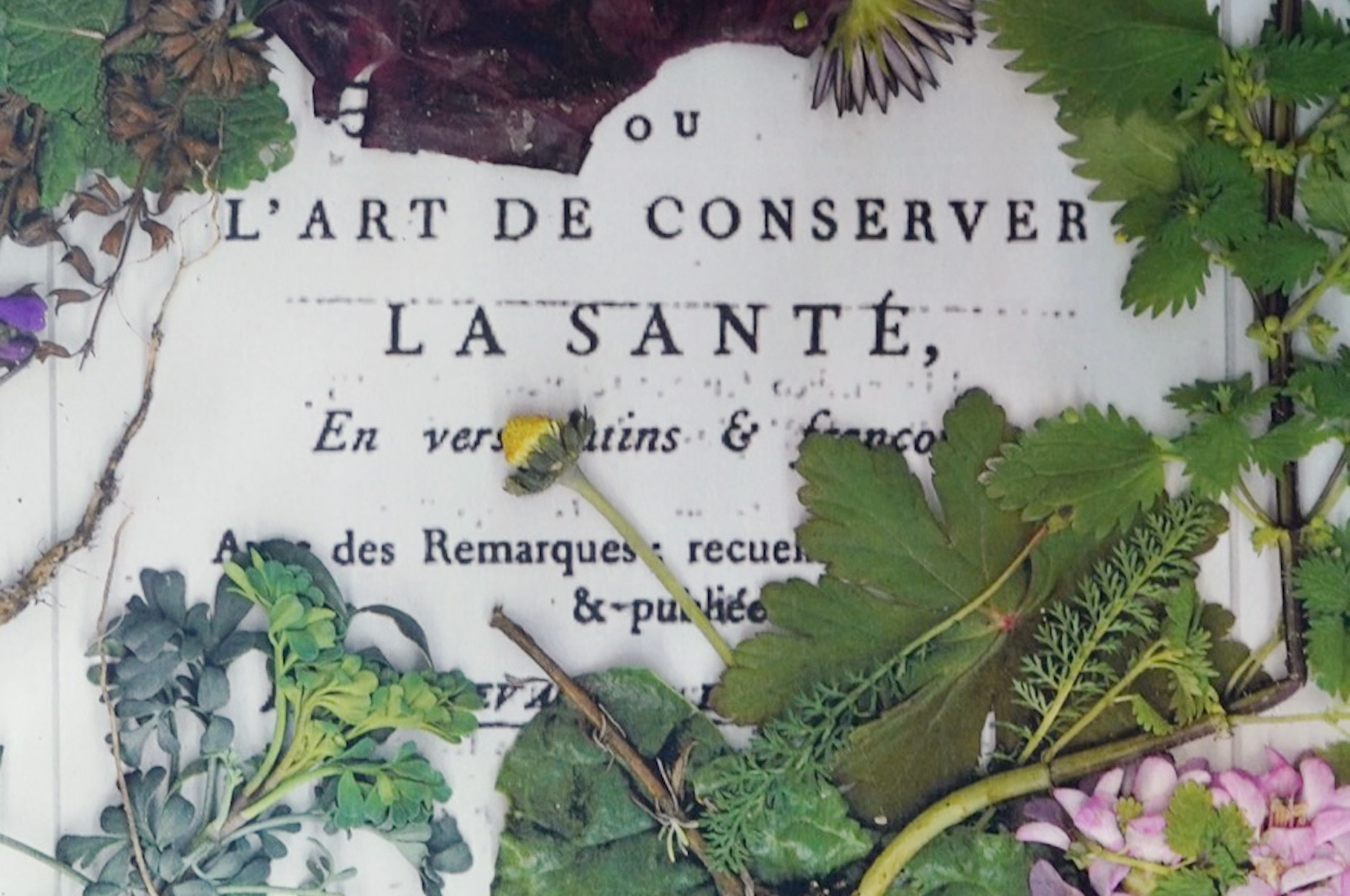 L’art de conserver la santé, Ondine Cloez