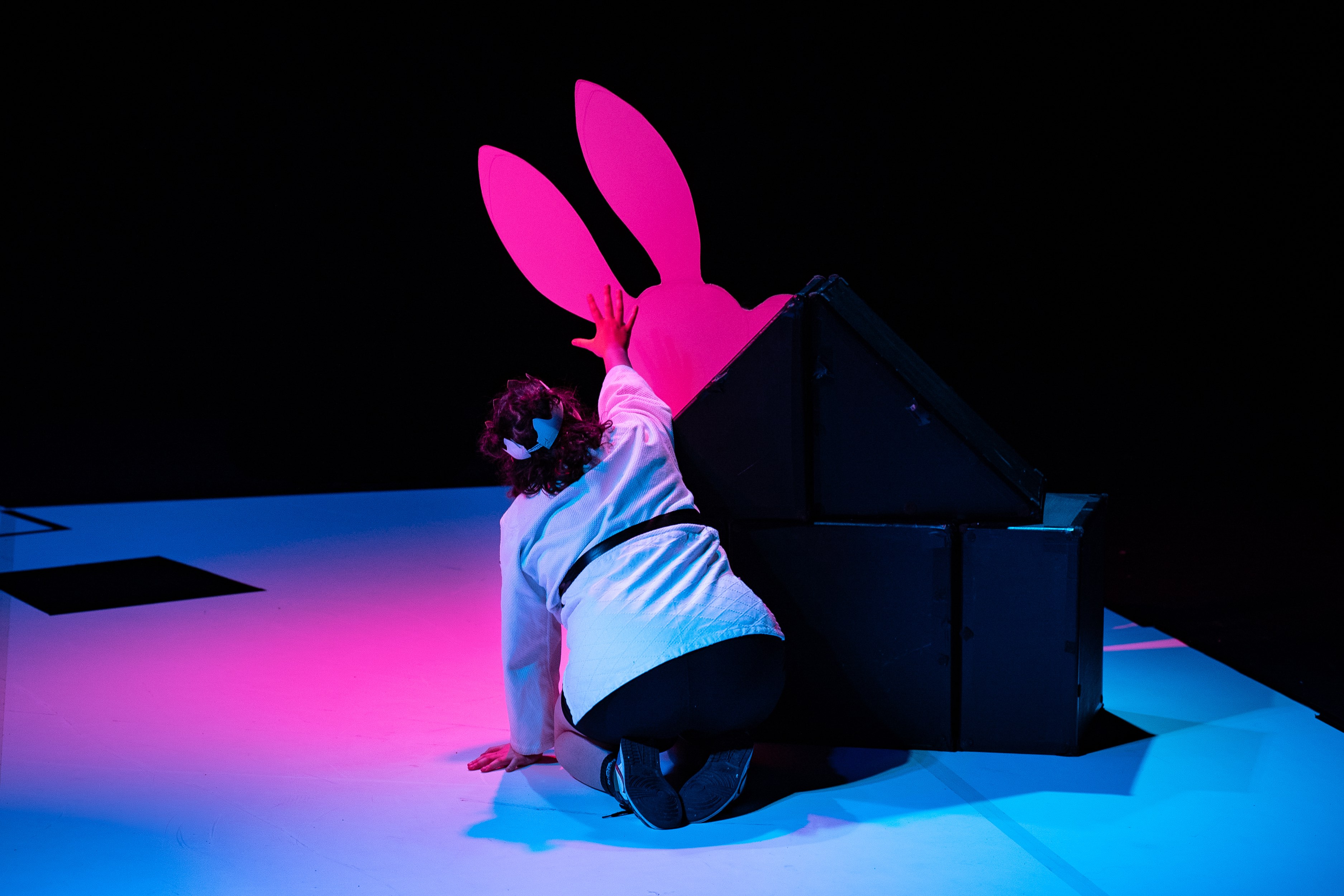 Nina Vallon, Le Lapin et la Reine