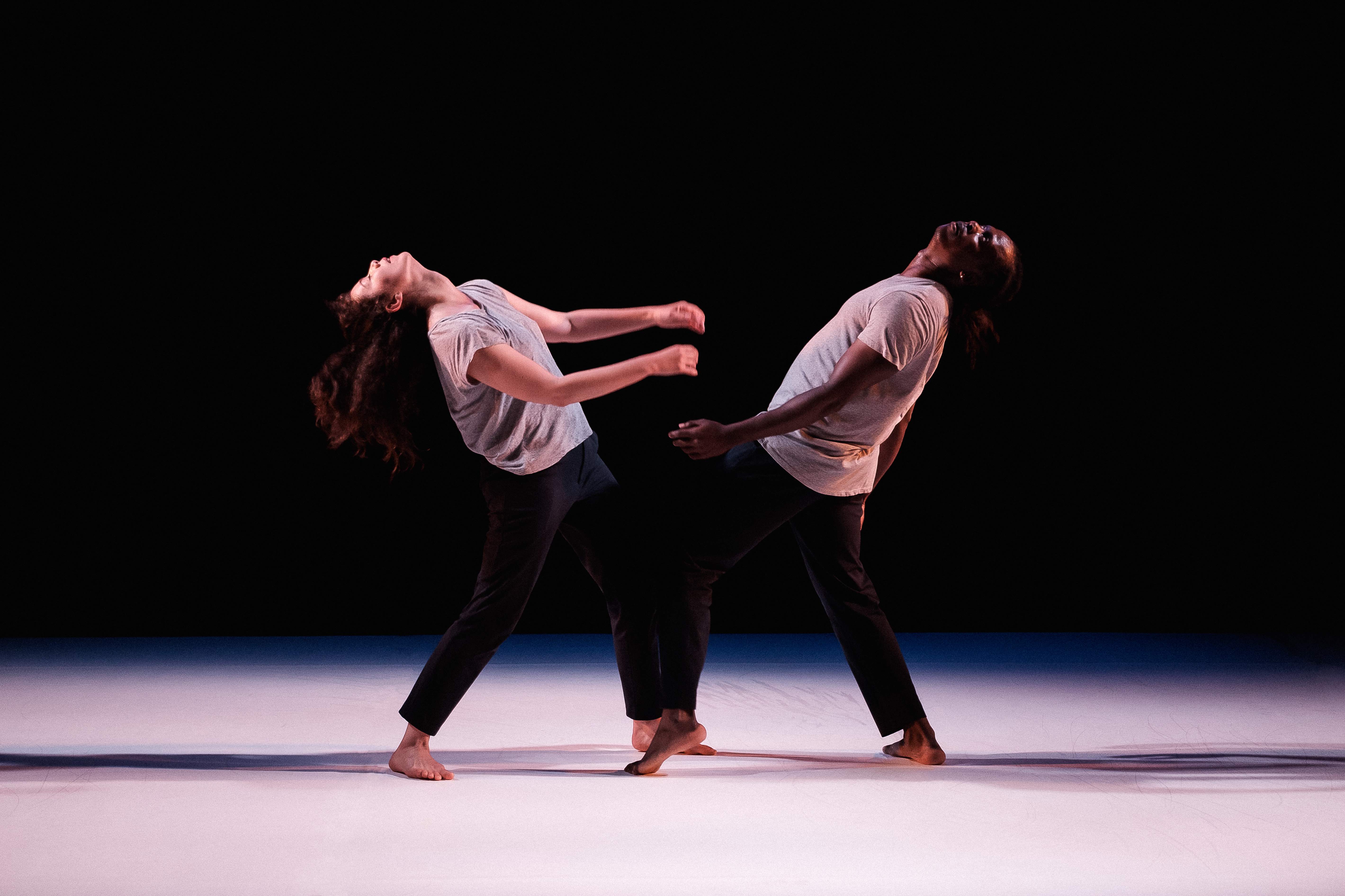 Herman Diephuis, Impressions, nouvel accrochage