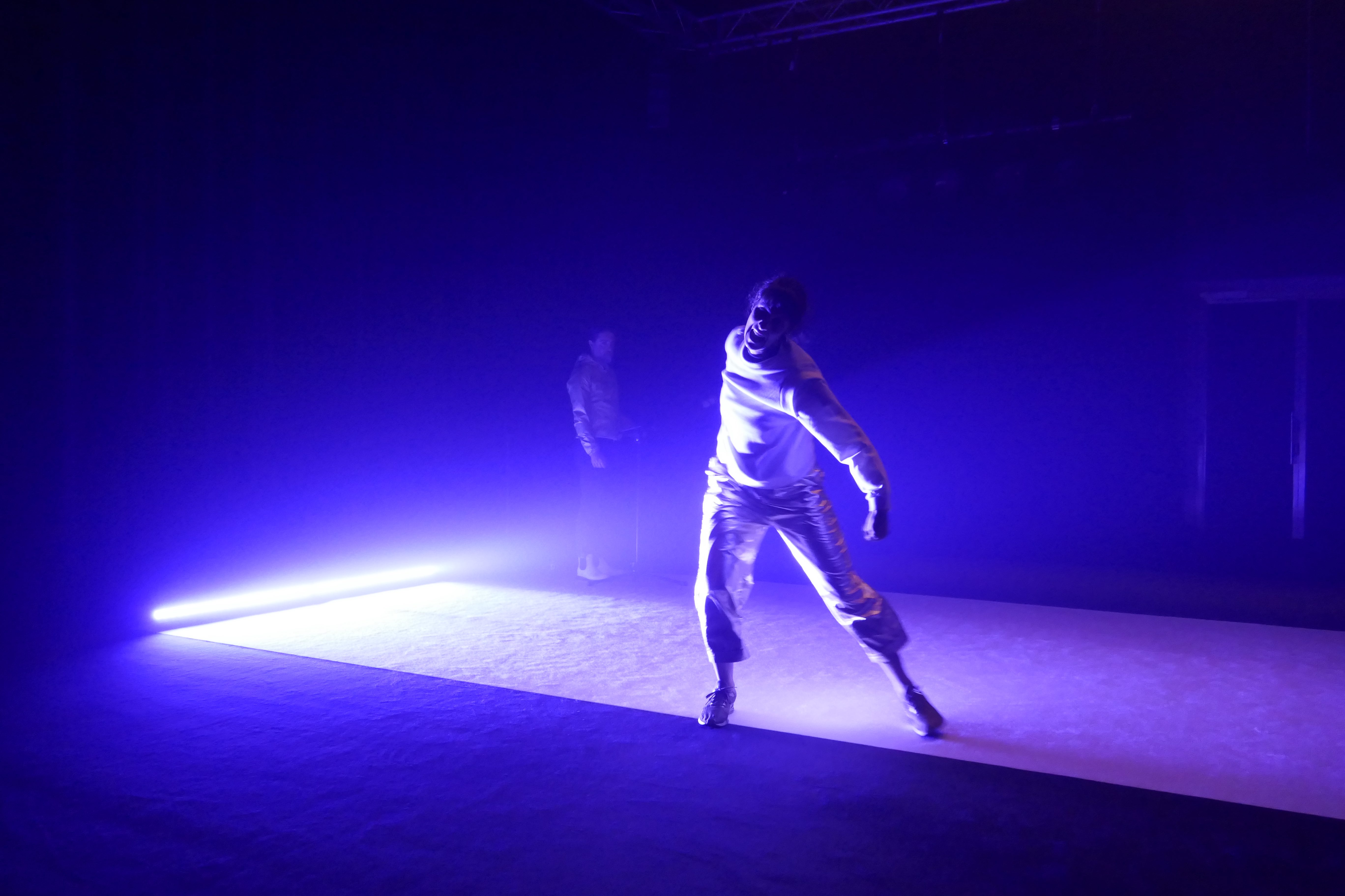 Lorena Dozio, Comme un saut immobile